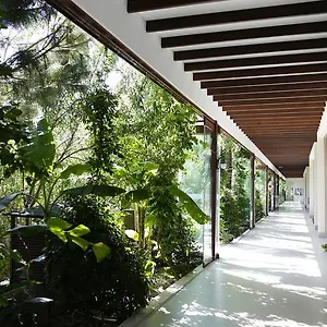 The Lifeco Bodrum Well-being Detox Center And Vegan (adults Only) Hotell